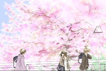 永久香蕉